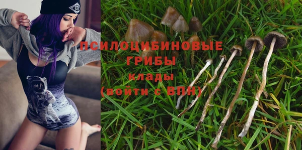 MDMA Няндома