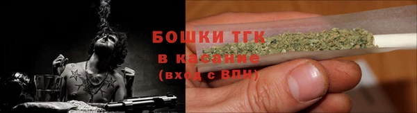 молекула духа Нязепетровск