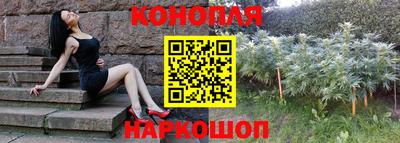 ПСИЛОЦИБИНОВЫЕ ГРИБЫ Заводоуковск