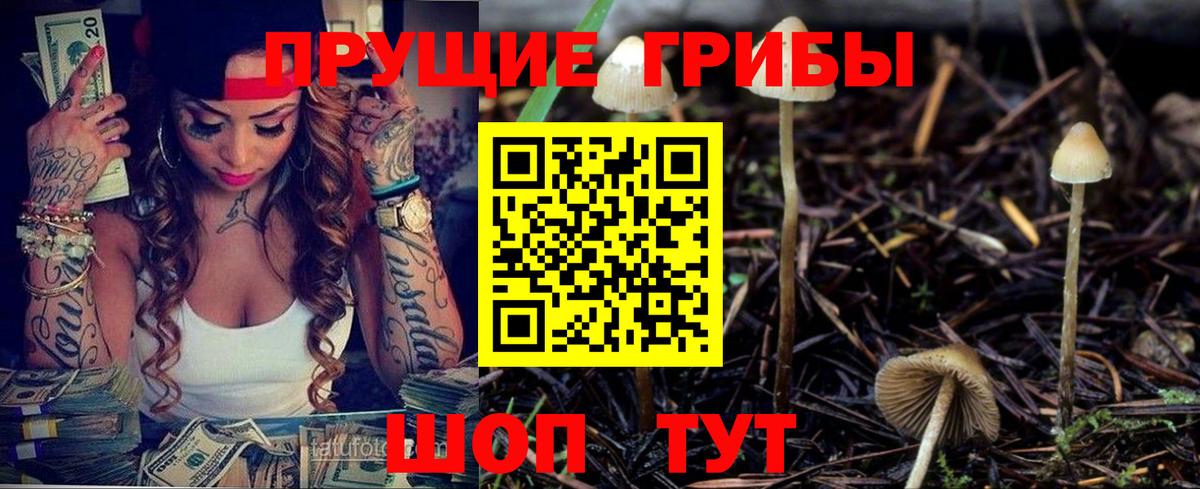 Ишим  купить закладку  Вход с VPN  Галлюциногенные грибы мухоморы 
